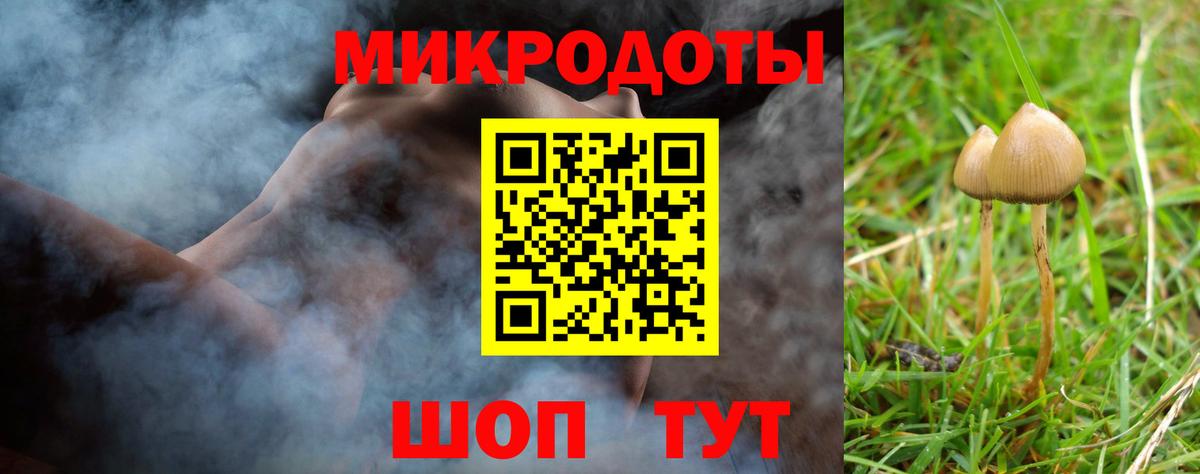 Аша  закладки  Вход с VPN  Галлюциногенные грибы Cubensis 